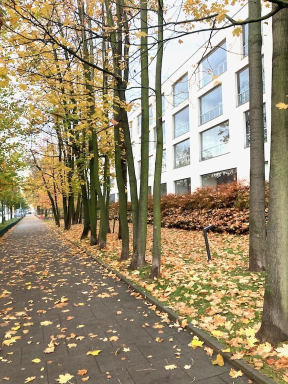 Apartment Novum Rakowicka Street Krakow Ngoại thất bức ảnh
